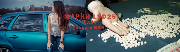 СК Вязники