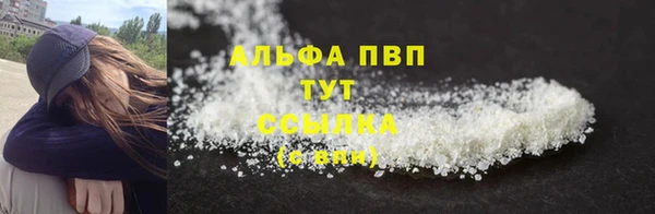 СК Вязники