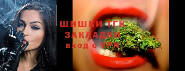 ECSTASY Вяземский
