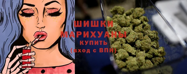 гидра Володарск